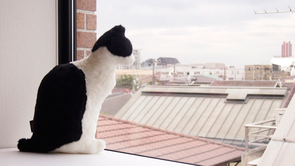 Neko Philosophy Neko Philosophy